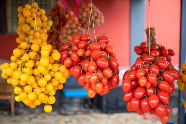 Alla scoperta dei pomodori di Sorrento